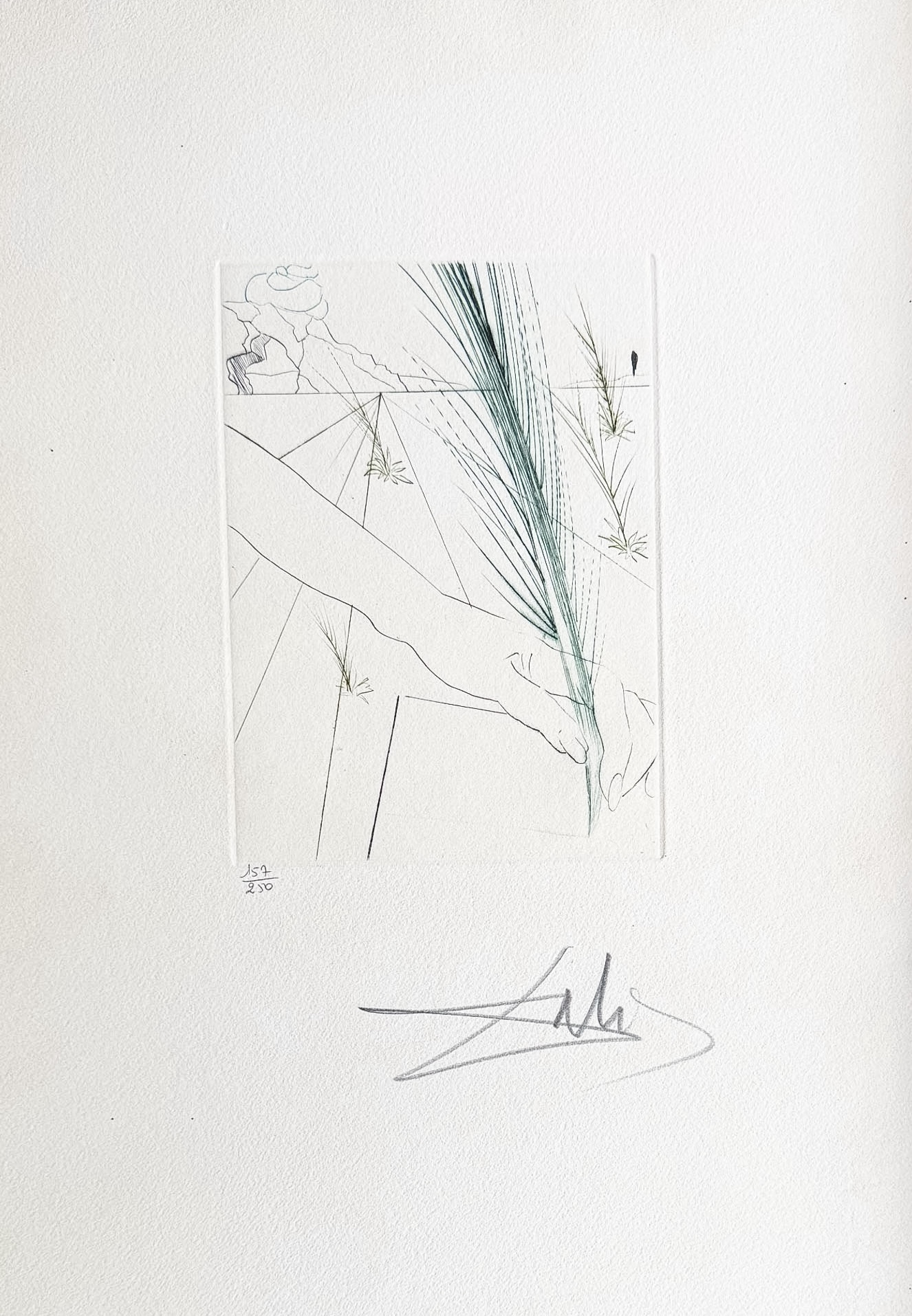 Salvador Dalí (1904–1989) - Love's Labour's Lost - Drypoint etching on Rives paper - 1970 - Image 2