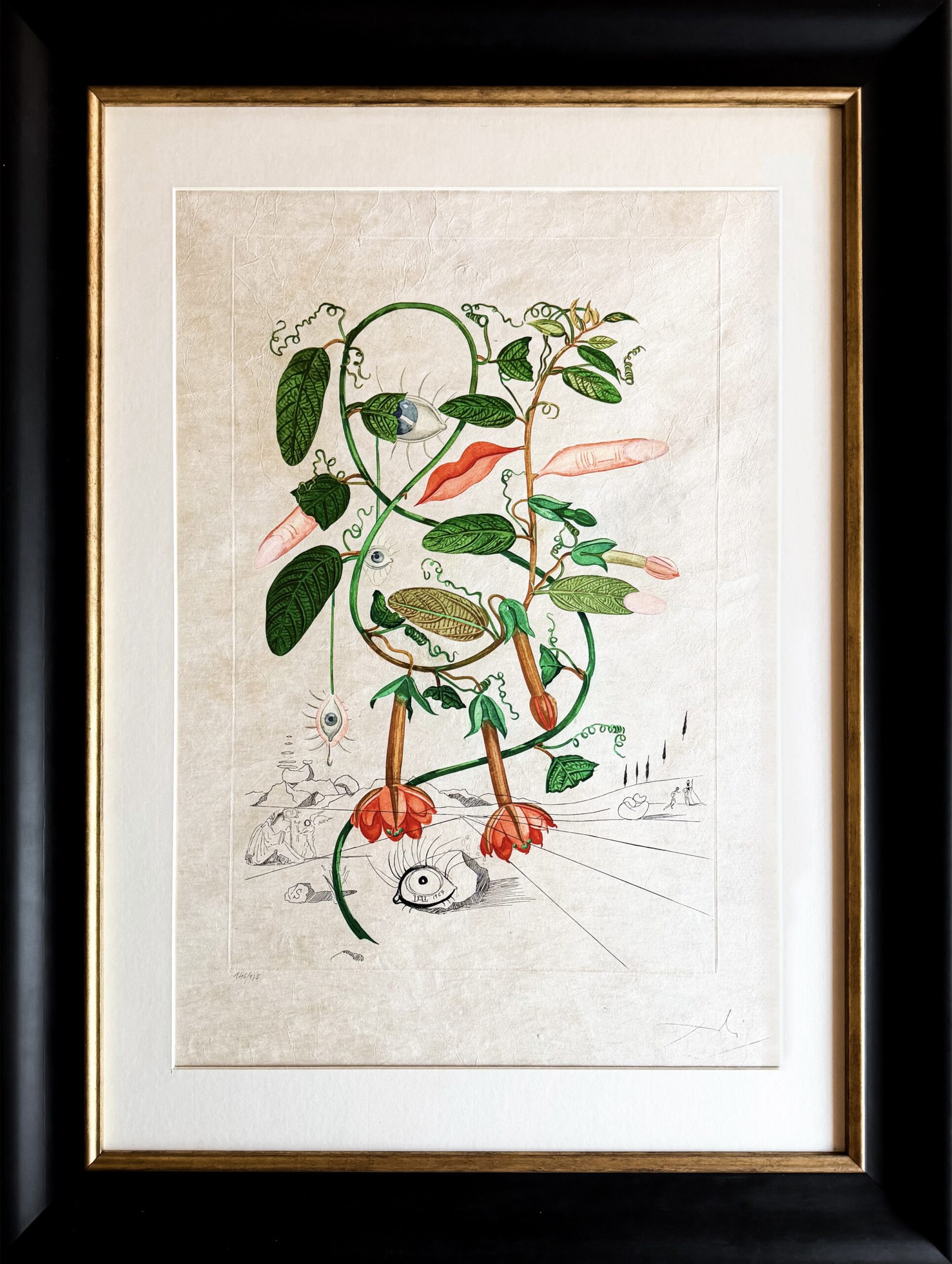 Salvador Dalí (1904–1989) - Cobea (Pisum sensuale) - Color drypoint etching on japanese paper - 1968