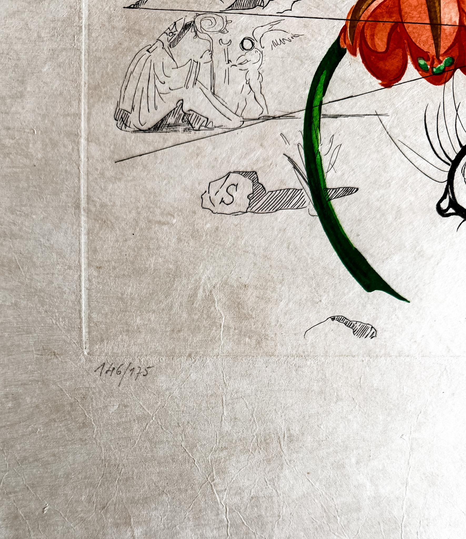 Salvador Dalí (1904–1989) - Cobea (Pisum sensuale) - Color drypoint etching on japanese paper - 1968 - Image 4