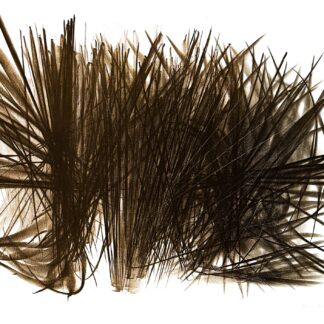 Hans Hartung (1904–1989) - L 108 - Color lithograph on BFK Rives paper - 1963