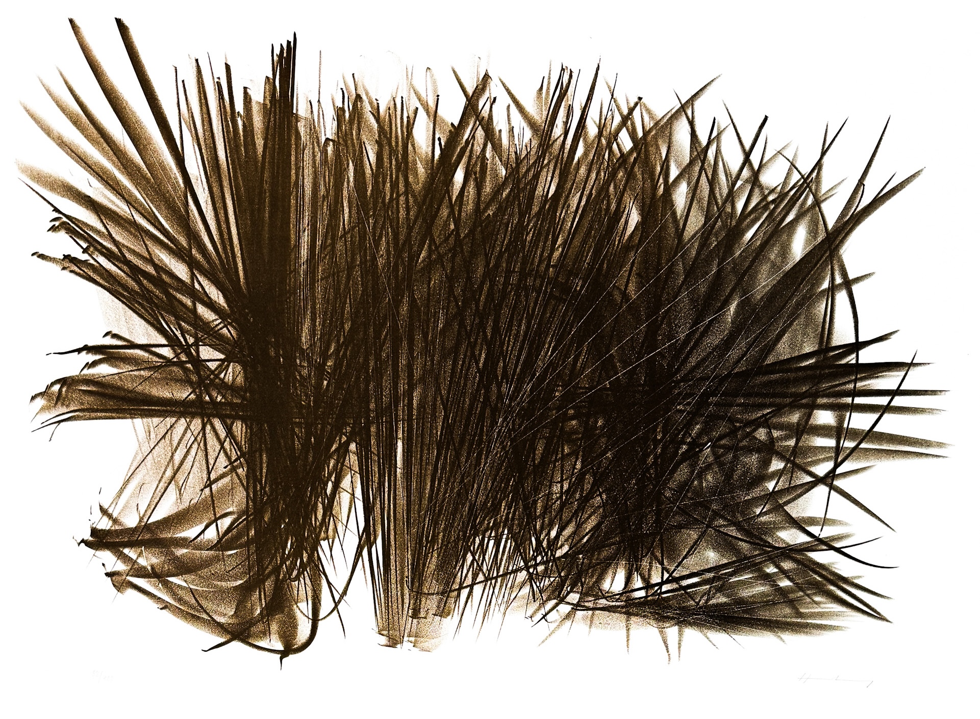 Hans Hartung (1904–1989) - L 108 - Color lithograph on BFK Rives paper - 1963
