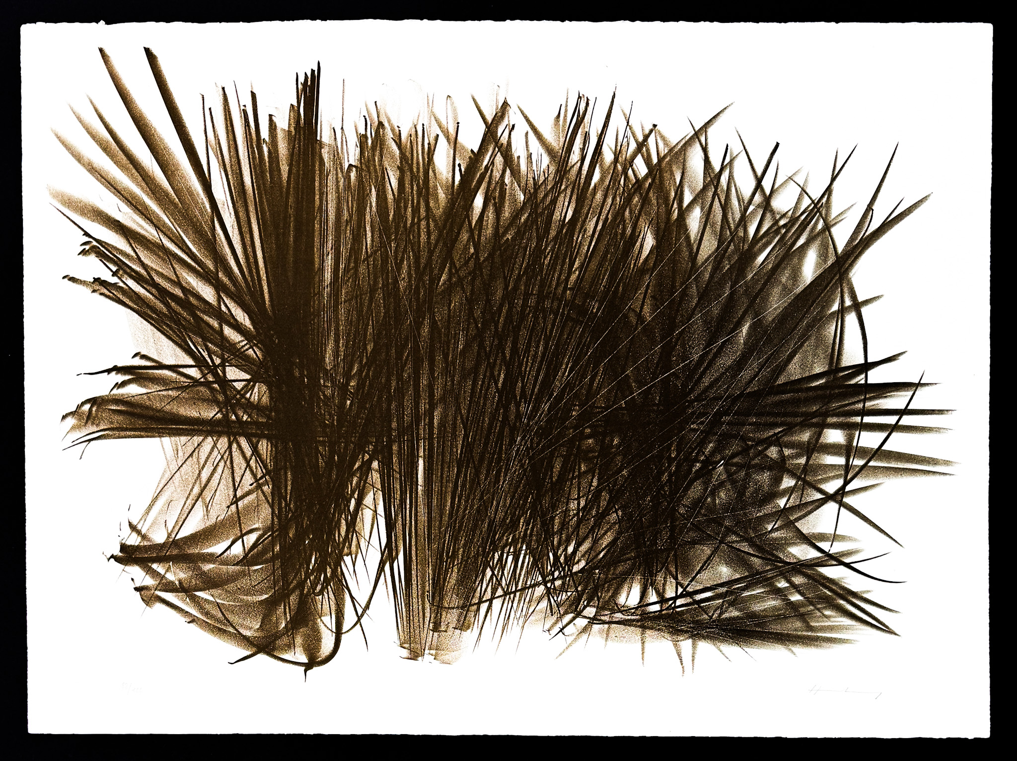 Hans Hartung (1904–1989) - L 108 - Color lithograph on BFK Rives paper - 1963 - Image 2