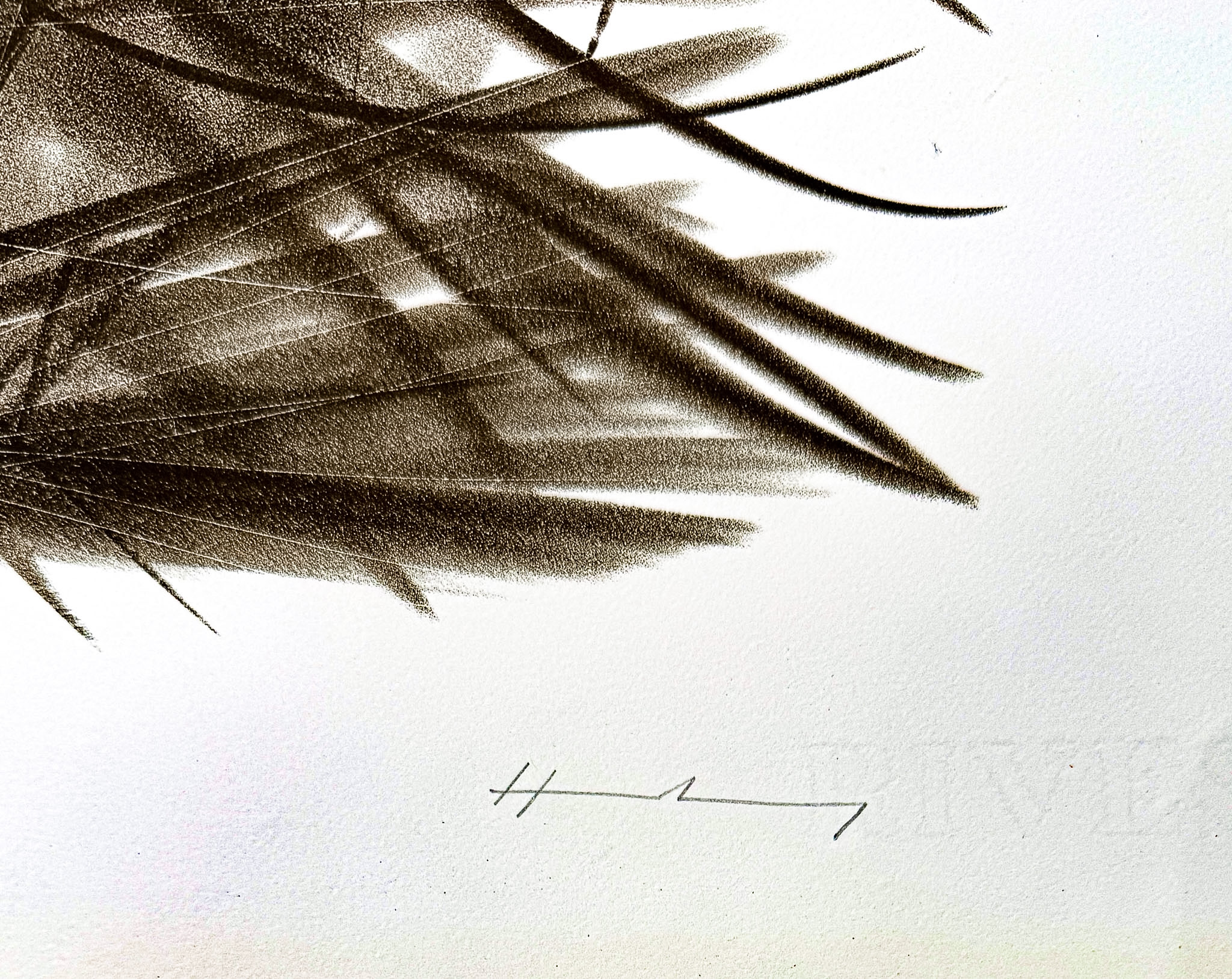 Hans Hartung (1904–1989) - L 108 - Color lithograph on BFK Rives paper - 1963 - Image 3