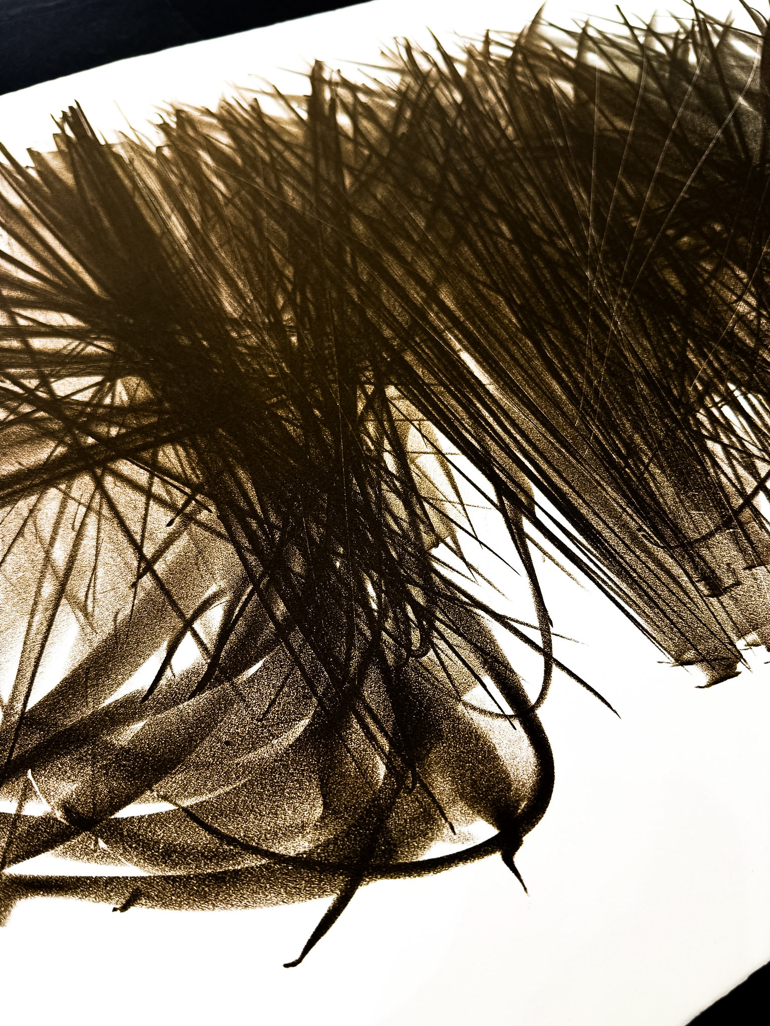 Hans Hartung (1904–1989) - L 108 - Color lithograph on BFK Rives paper - 1963 - Image 6