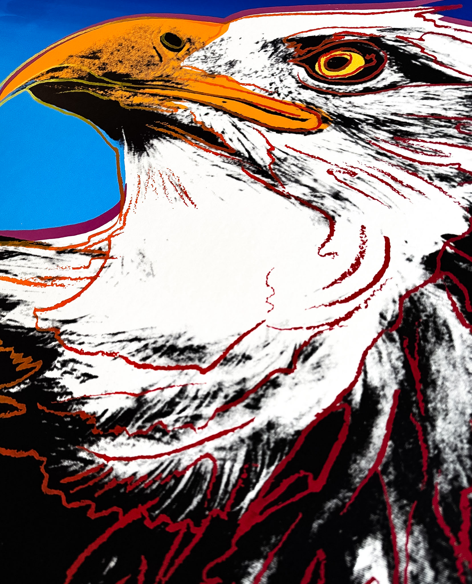 Andy Warhol (1928–1987) - Bald Eagle (from ‘Endangered Species’ series) - Color screen print on Lenox Museum Board - 1983 - Image 3