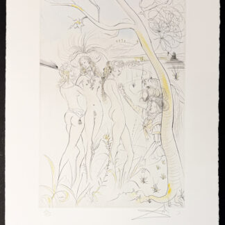 Salvador Dalí (1904–1989) - Jugement de Pâris - Drypoint etching - 1971