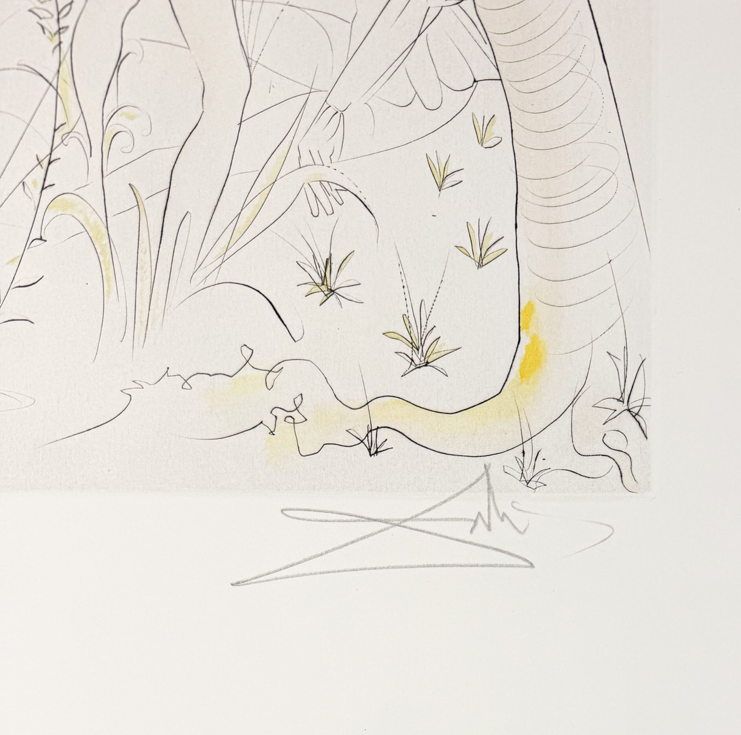 Salvador Dalí (1904–1989) - Jugement de Pâris - Drypoint etching - 1971 - Image 4