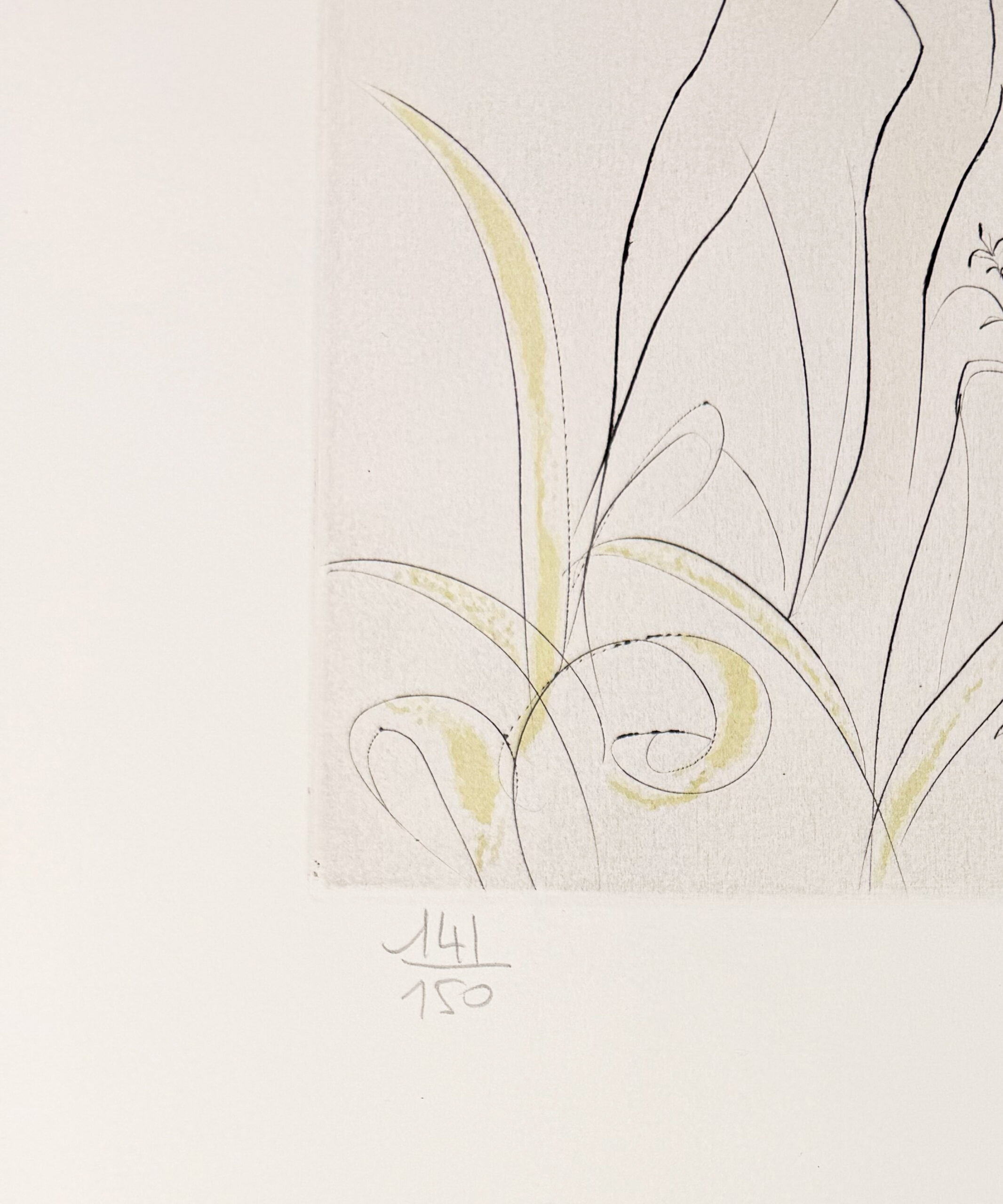 Salvador Dalí (1904–1989) - Jugement de Pâris - Drypoint etching - 1971 - Image 3